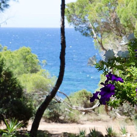 Villa Buonumore Porto Pino Buitenkant foto