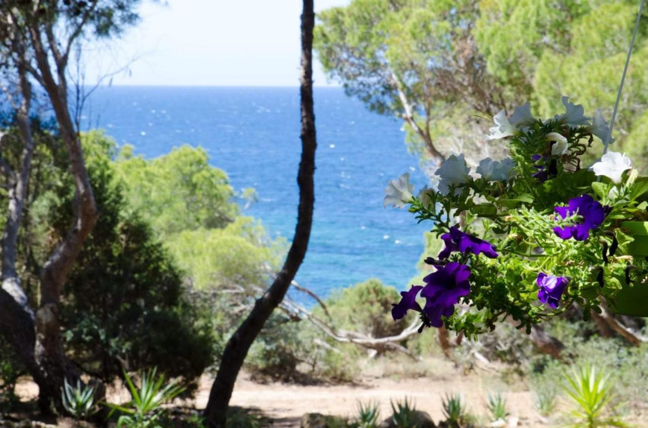 Villa Buonumore Porto Pino Buitenkant foto