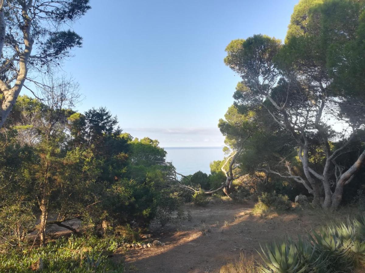 Villa Buonumore Porto Pino Buitenkant foto