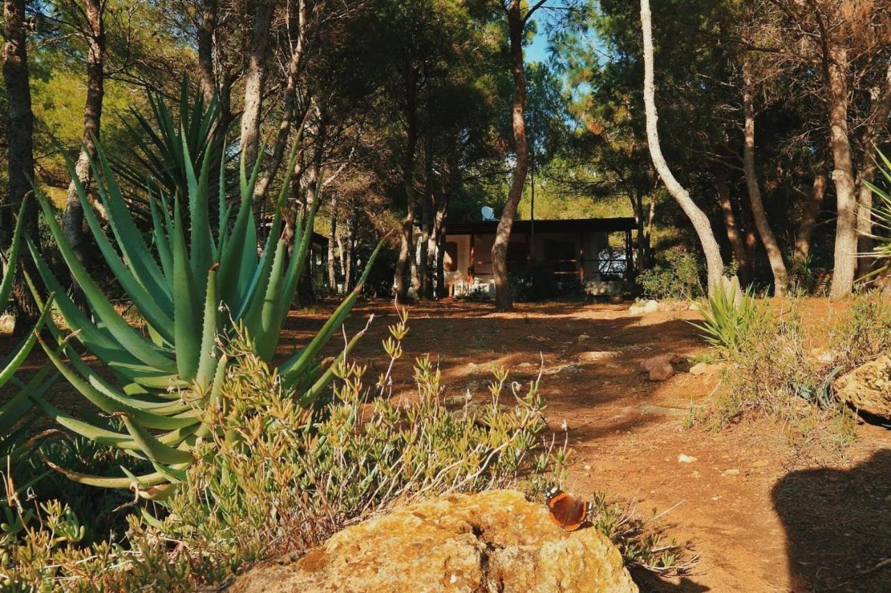 Villa Buonumore Porto Pino Buitenkant foto